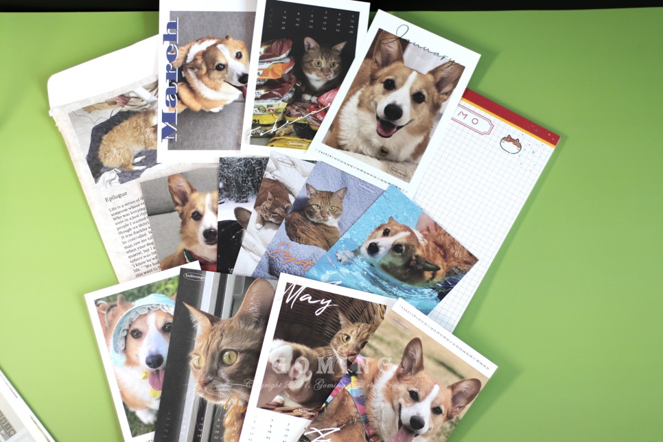 백호랑이 주문, 이웃집의 죽도록 사랑해!!!! 7