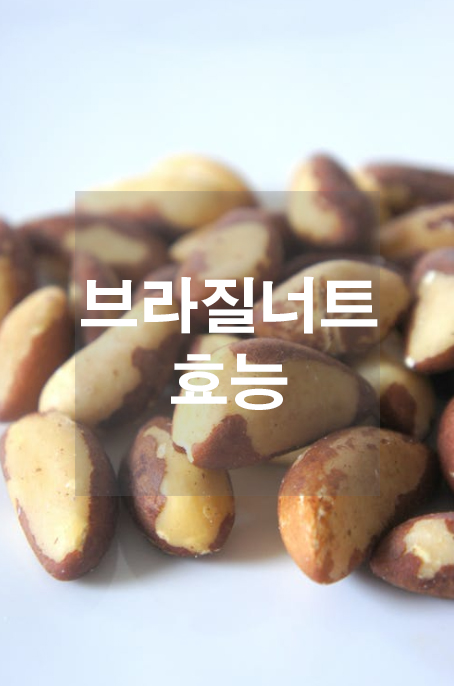  브라질 너트 효능