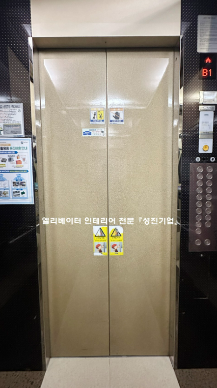 성진카 이미지