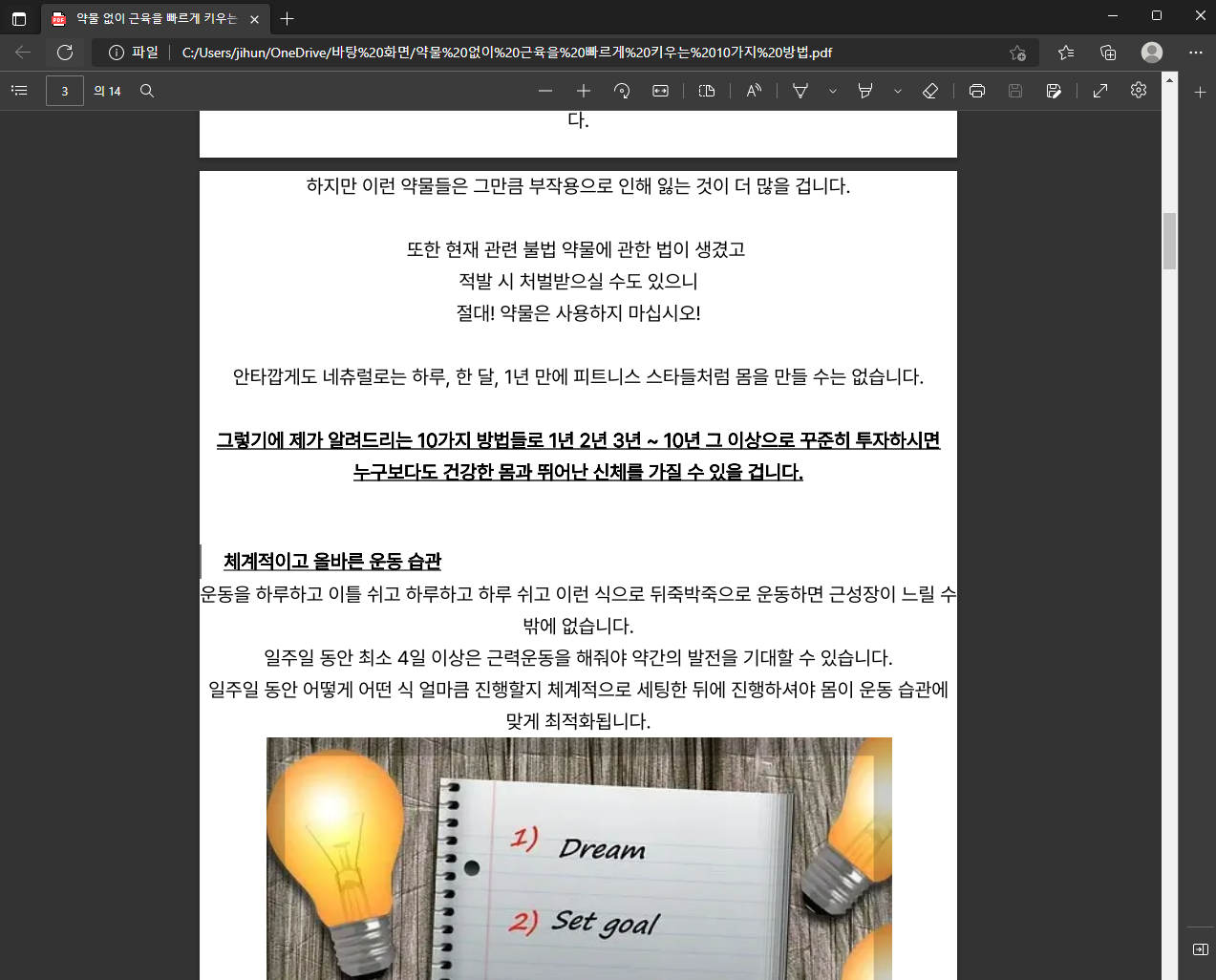 PDF 실행