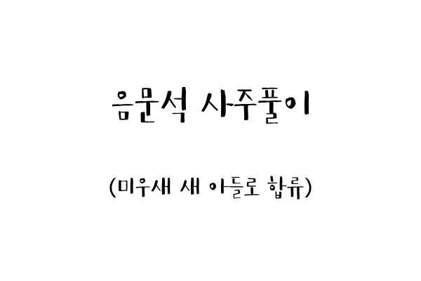  음문석 사주풀이 (미우새 새 아들로 합류)
