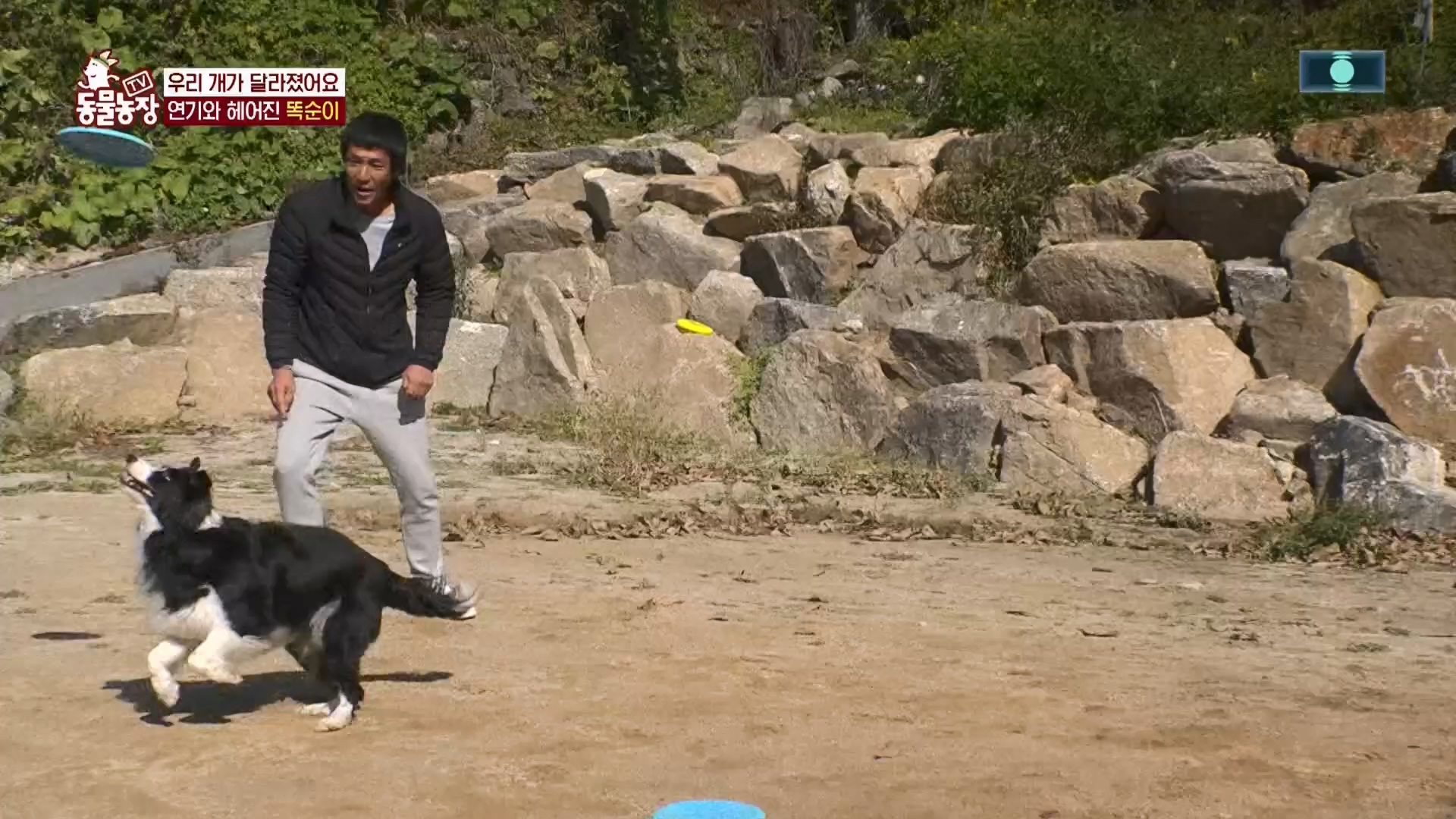 TV 동물농장.E1148.231203p.H264-F1RST.mp4_20231203_181433.867.jpg