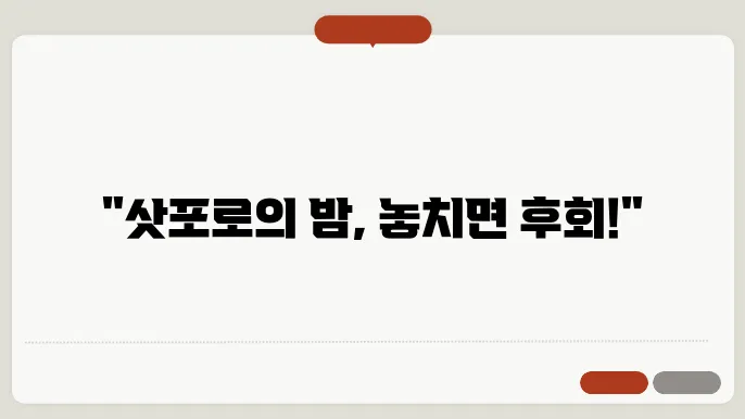 삿포로 야경 크루즈, 이 감성을 놓산주는 평생 후회할지도!