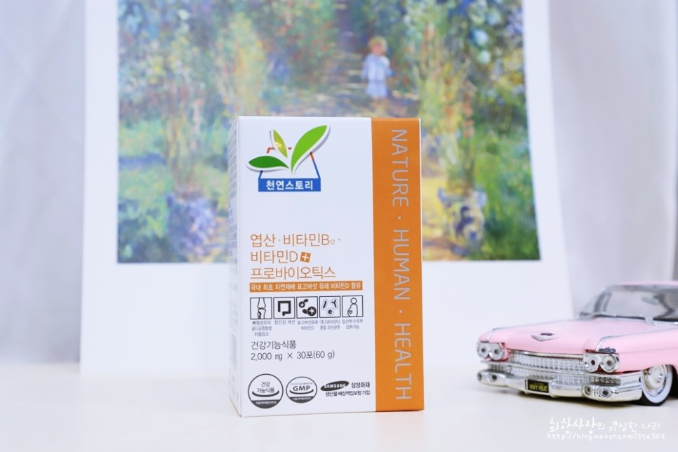 임산부에게 임산부 8