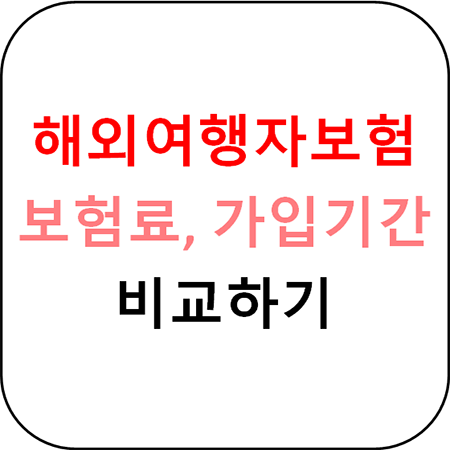  해외여행자보험 가입 필수 가이드 - 보험사별 상품 비교