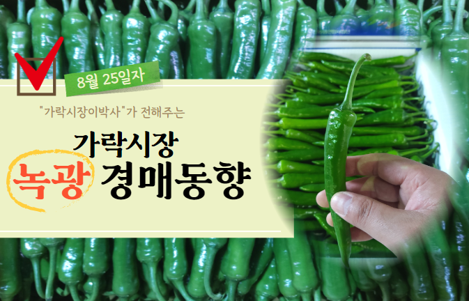  [경매사 일일보고] 8월 25일자 가락시장 녹광 경매동향을 살펴보겠습니다!