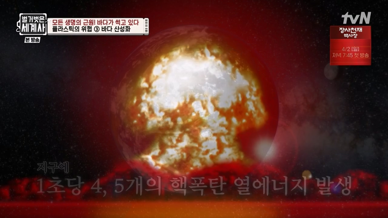 벌거벗은 세계사.E90.230315p-NEXT.mp4_20230419_212554.071.jpg