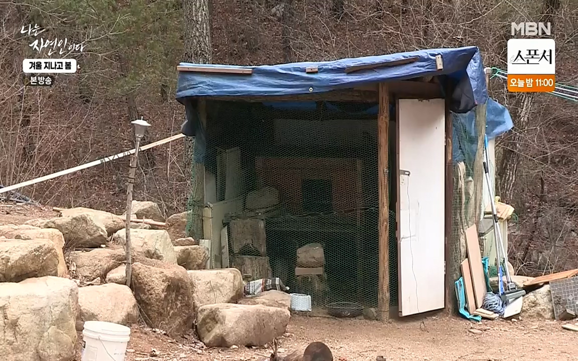 나는 자연인이다.E496.220407p-NEXT.mp4_20220407_175811.629.jpg