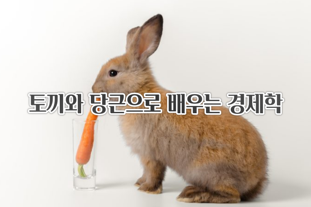  토끼와 당근으로 배우는 경제학