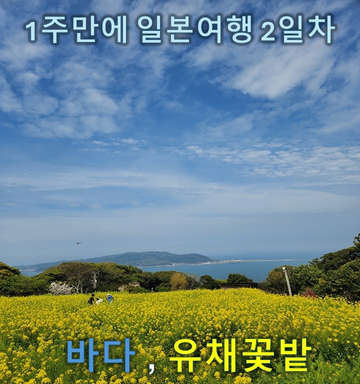  [1주만에 일본여행] 2박3일 후쿠오카 2일차 - 후쿠오카에서 남들이 안하는 섬투어하기(Feat노코노시마섬, 하카타역 돌아다니기)