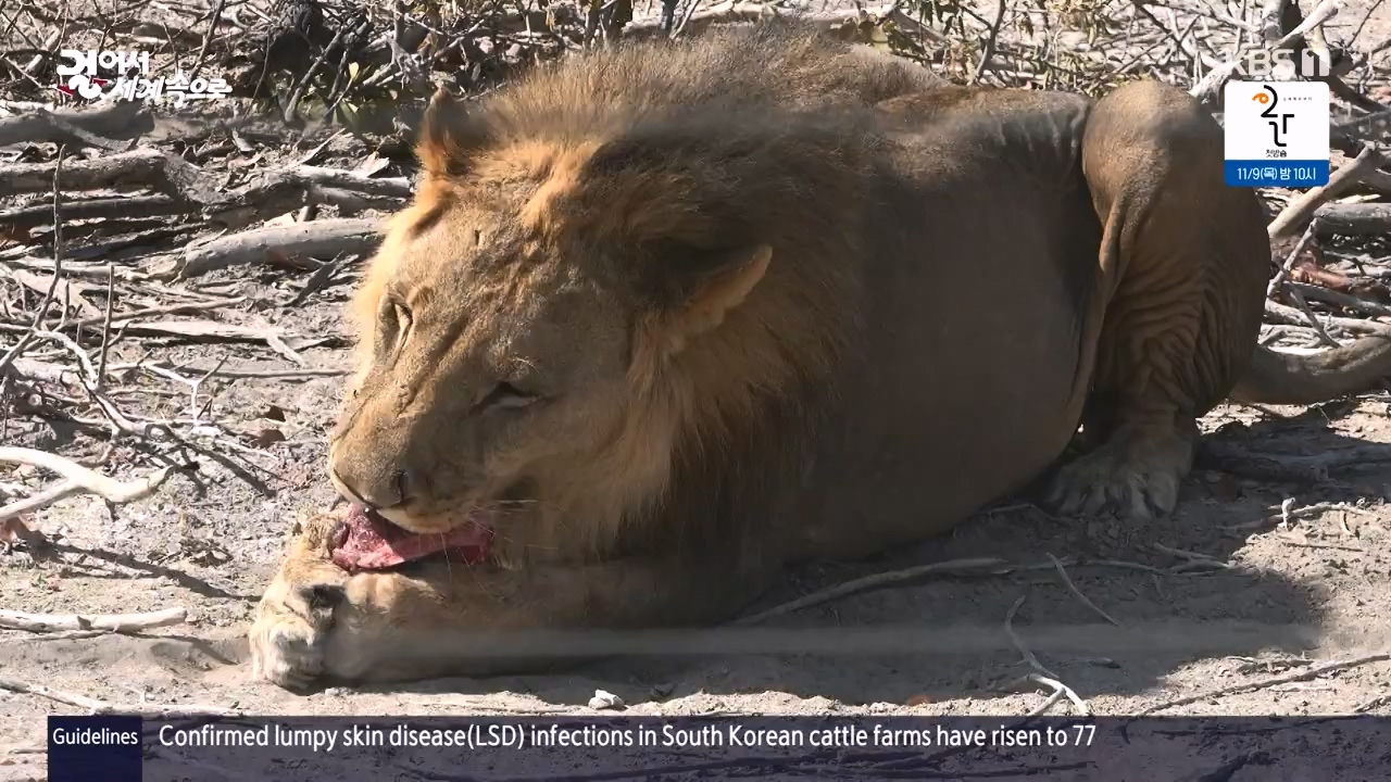 걸어서 세계속으로.E816.231105p-NEXT.mp4_20231104_175429.504.jpg