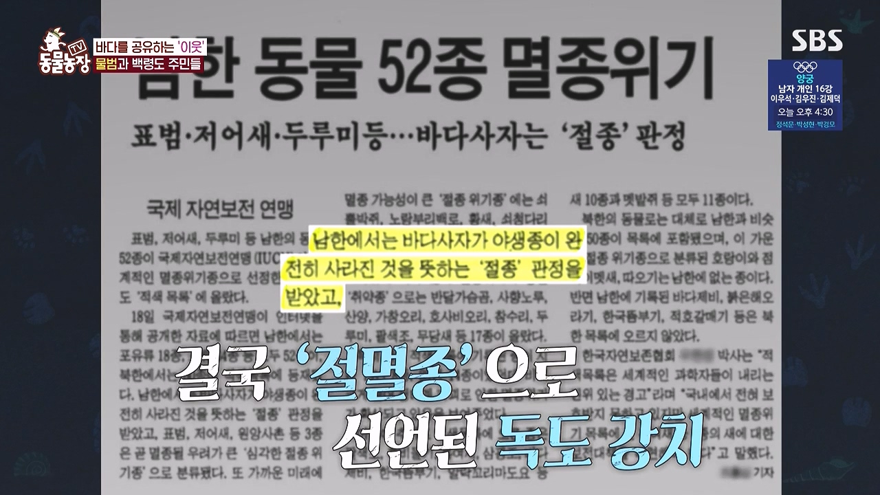 TV 동물농장.E1183.240805p-NEXT.mp4_20240804_154959.210.jpg
