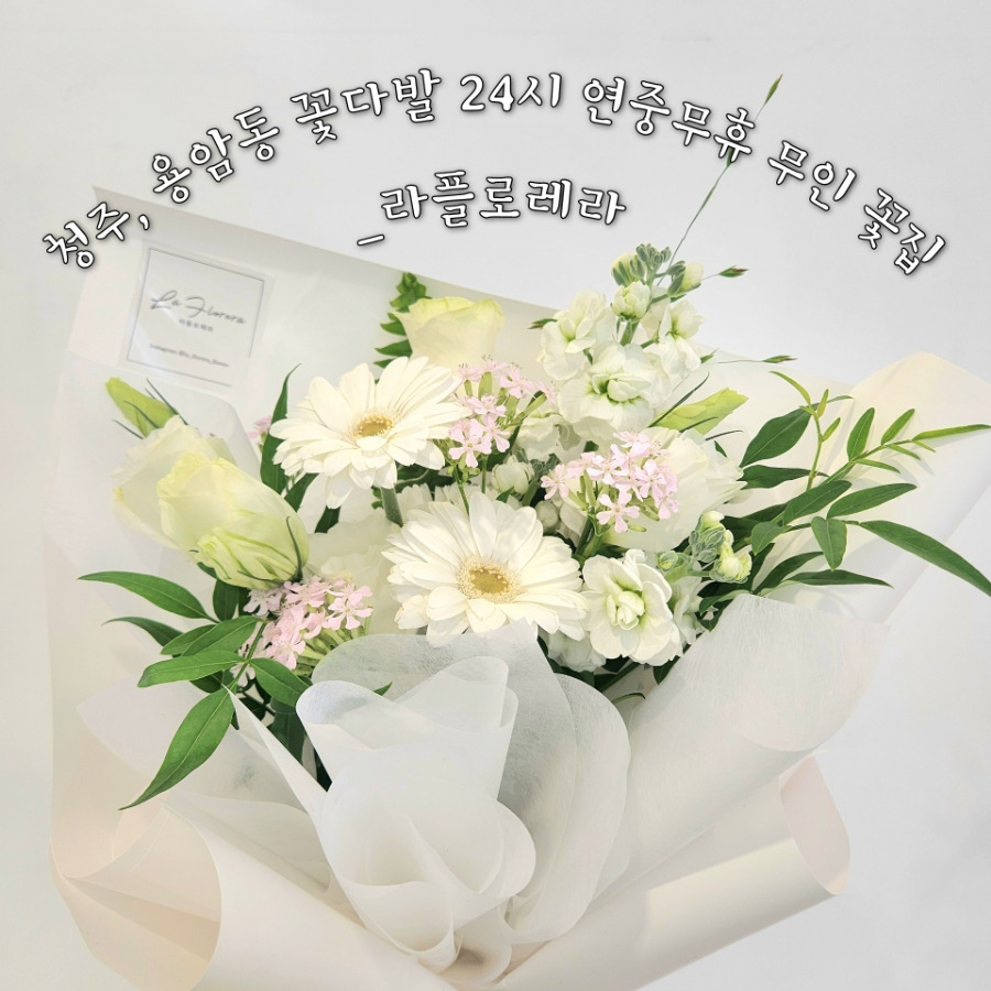 라플로레라 이미지