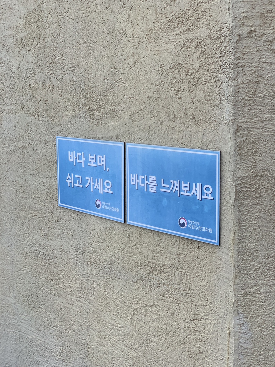 주차 꿀팁 (Hint : 해파랑길 2코스) 부산 여행 필수 코스! 해동용궁사 16