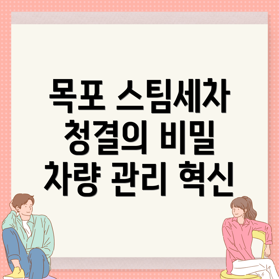 스팀세차