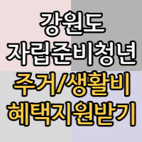 강원도 자립준비청년 생계비지원 안내 포스팅 썸네일