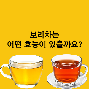  보리차 효능 효과