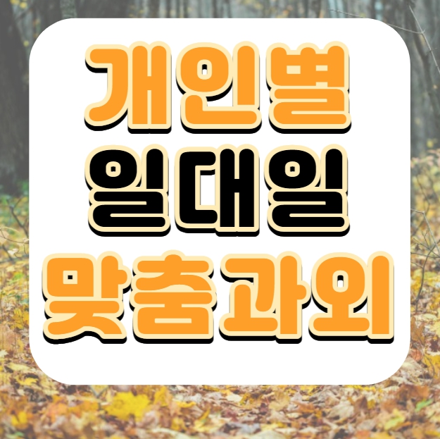  분당 중2 영어과외 초등 중등 고등 야탑 중3 수학과외 고등영어 고등수학 재수생 고3 일대일 맞춤 내신 전문 전과목 영수