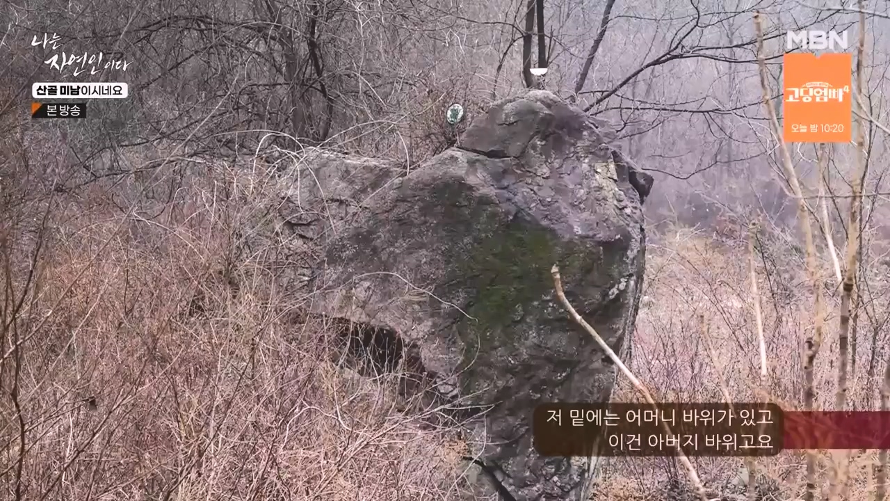 나는 자연인이다.E592.240208p-NEXT.mp4_20240208_193230.498.jpg