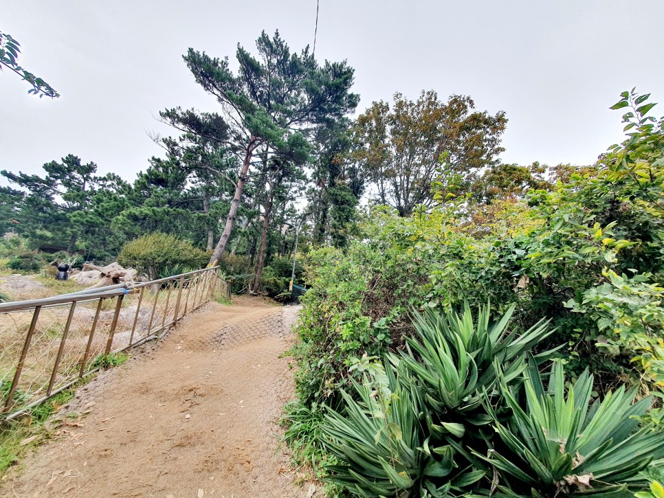 대장봉 선유도 무녀도 주차정보 군산 고군산군도여행 장자도 47