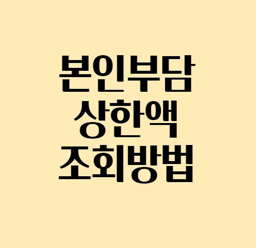  [본인부담상한제] 본인부담상한액 초과금 조회