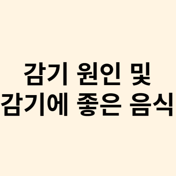 겨울철 감기 원인 및 감기에 좋은 음식
