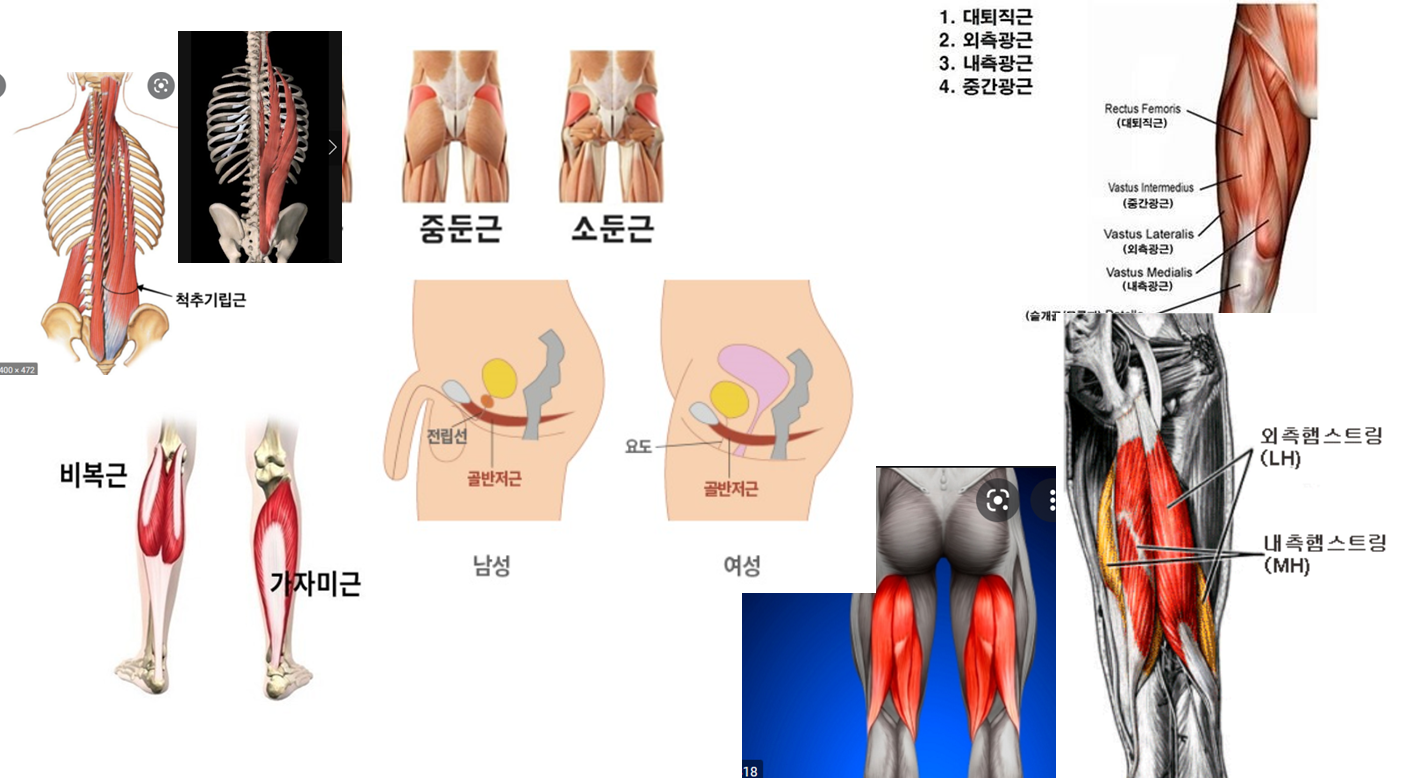 파르스보타나아사나 / 측면 강하게 늘리기 자세__parsvottanasana