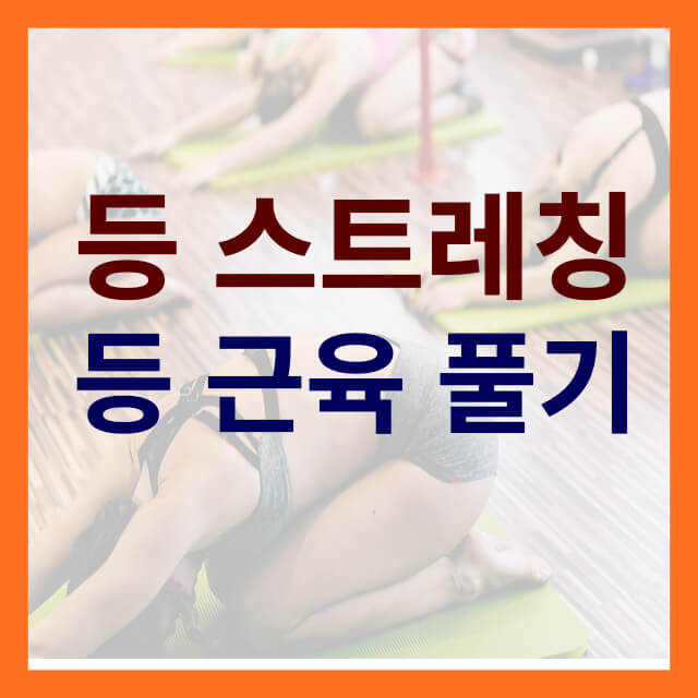 등 스트레칭