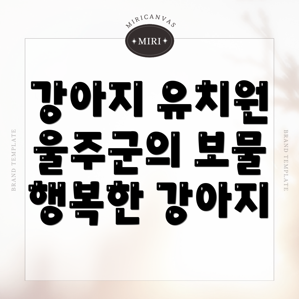 강아지 유치원