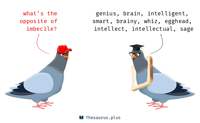  imbecile 천치, 얼간이