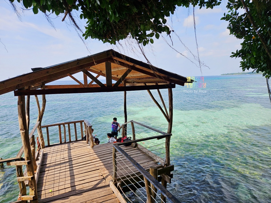 보홀에서 가볼만한 곳  Be Farm Restaurant 유기농 꿀 기념품 및 음식 리뷰