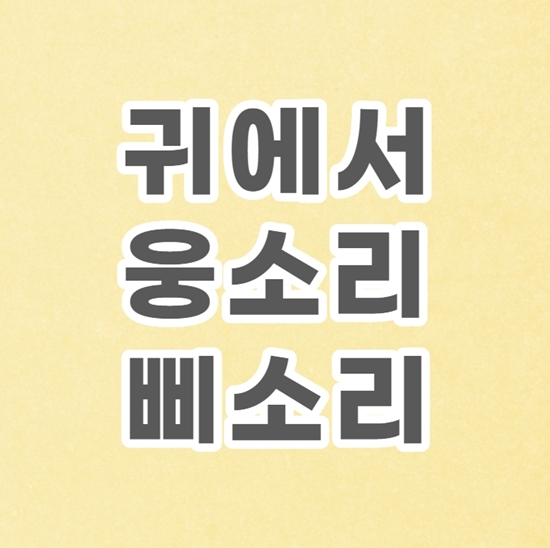  귀에서 웅소리 삐소리 나는 이유