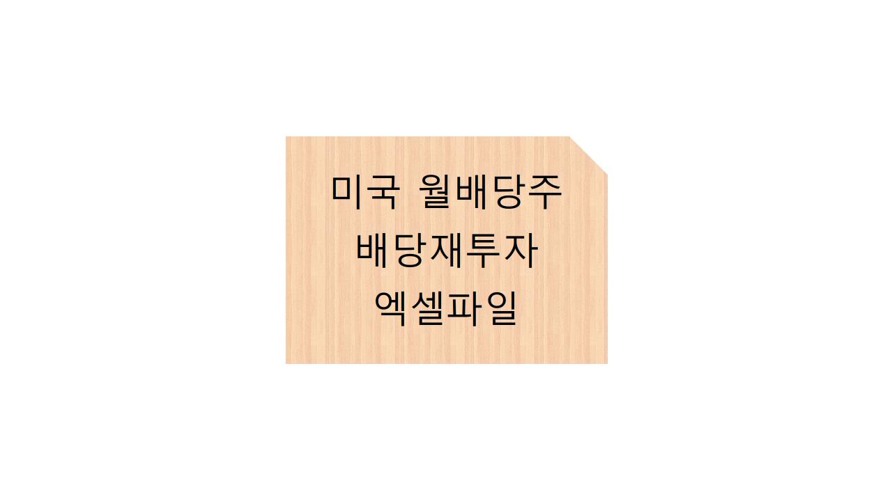  미국 월배당주 배당재투자 엑셀파일