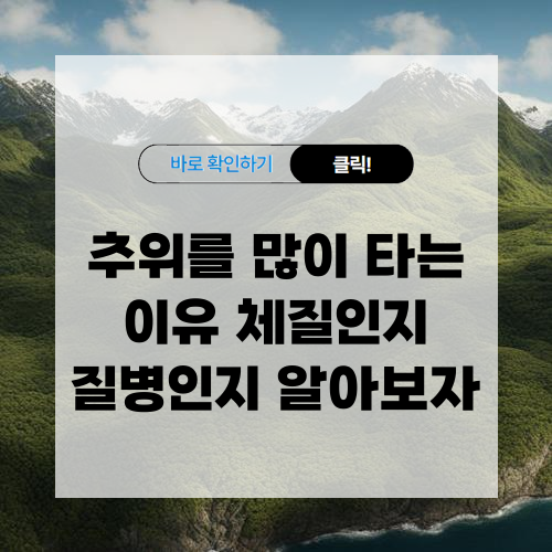 추위를 많이 타는 이유 체질인지 질병인지 알아보기