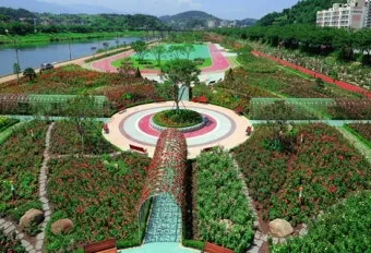 2025 삼척 장미공원 장미축제 일정 주차 볼거리_42
