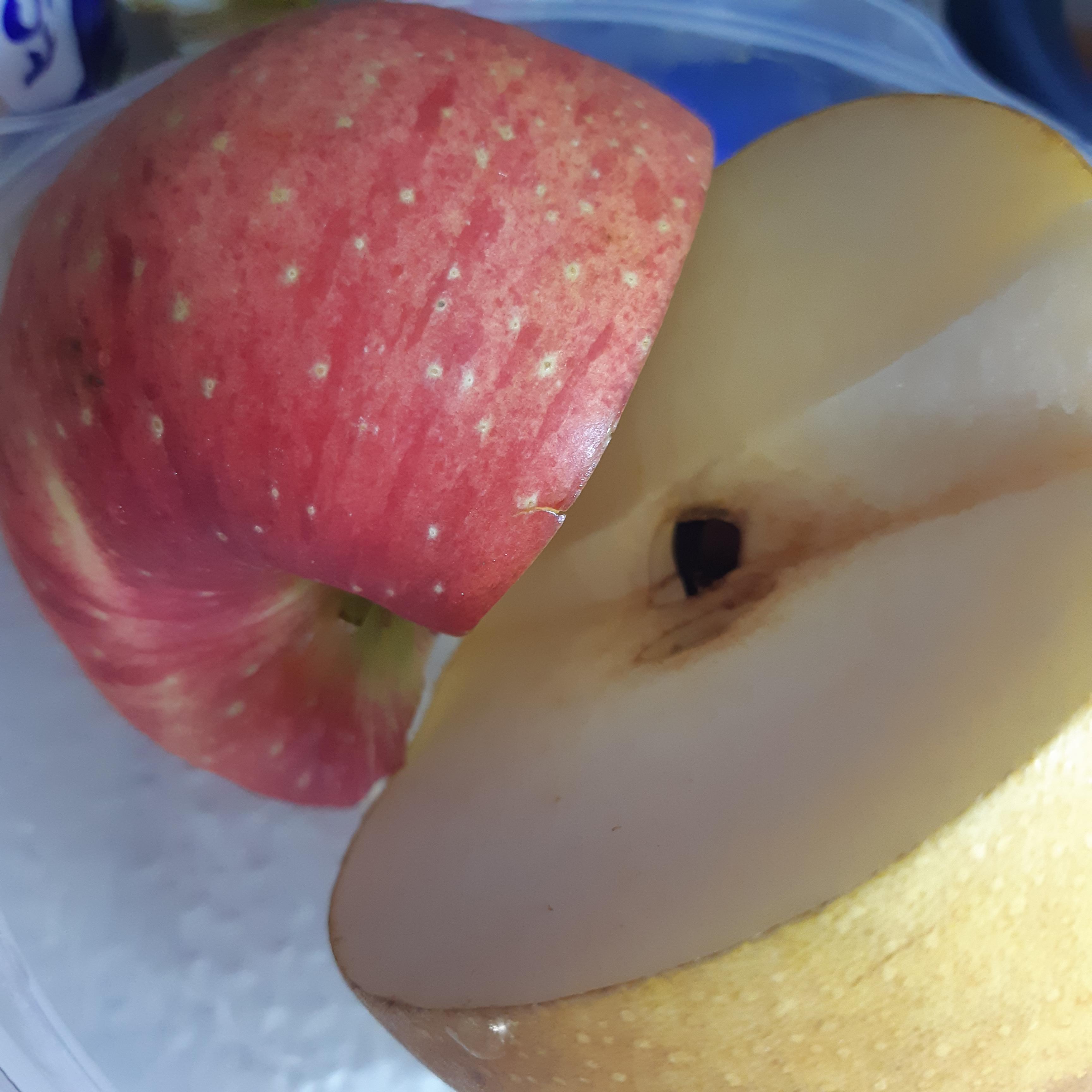 냉장고에 먹다남은 사과(홍로)와 배