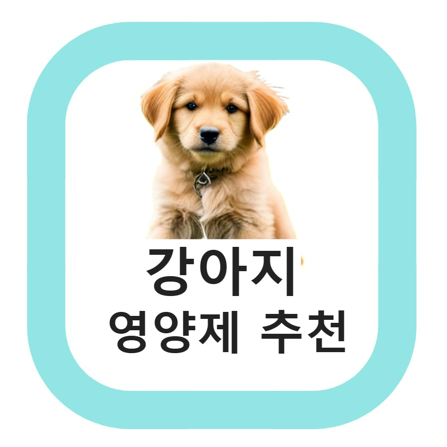  뉴트리 냠냠(보호리) 치석 제거 및 피부 강아지 영양제
