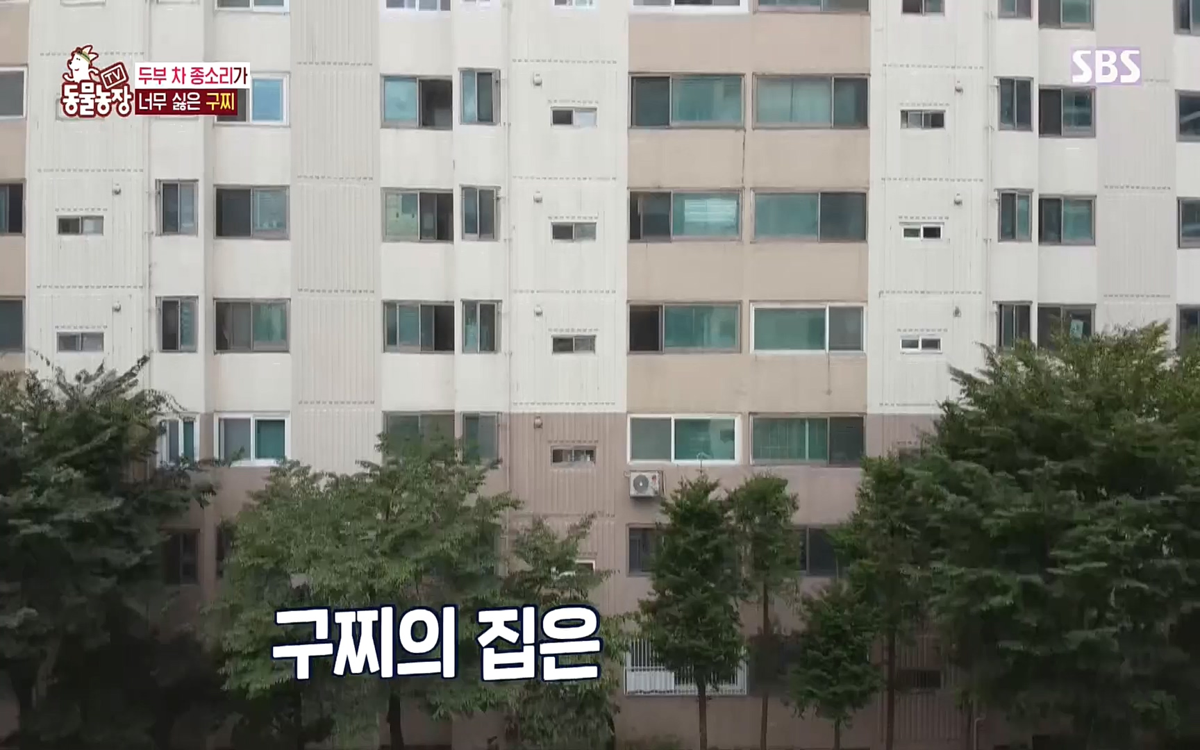 TV 동물농장.E1089.221002p.H264-F1RST.mp4_20221002_181939.895.jpg