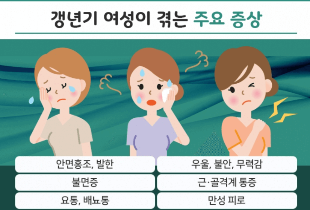 여성 갱년기 영양제 추천