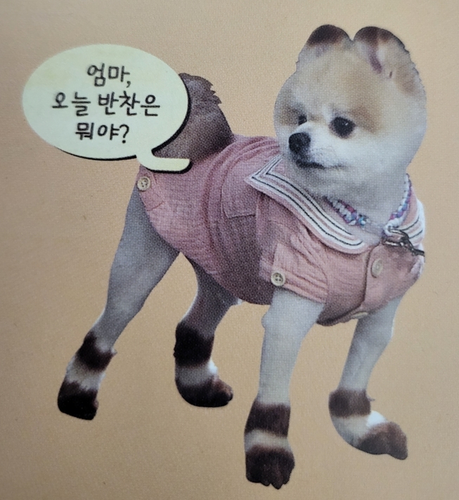 셰프랑반찬 이미지