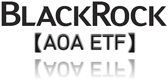  AOA ETF _ 주식80% 채권20% 자산배분 투자 두 번째 ETF!!