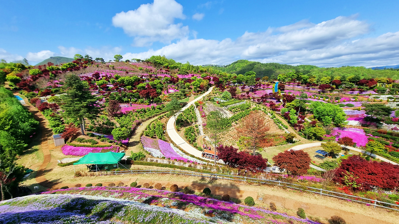동산잔디 이미지