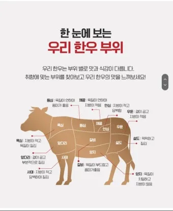 소고기 부위 가장 부드러운 순서대로 10선_10
