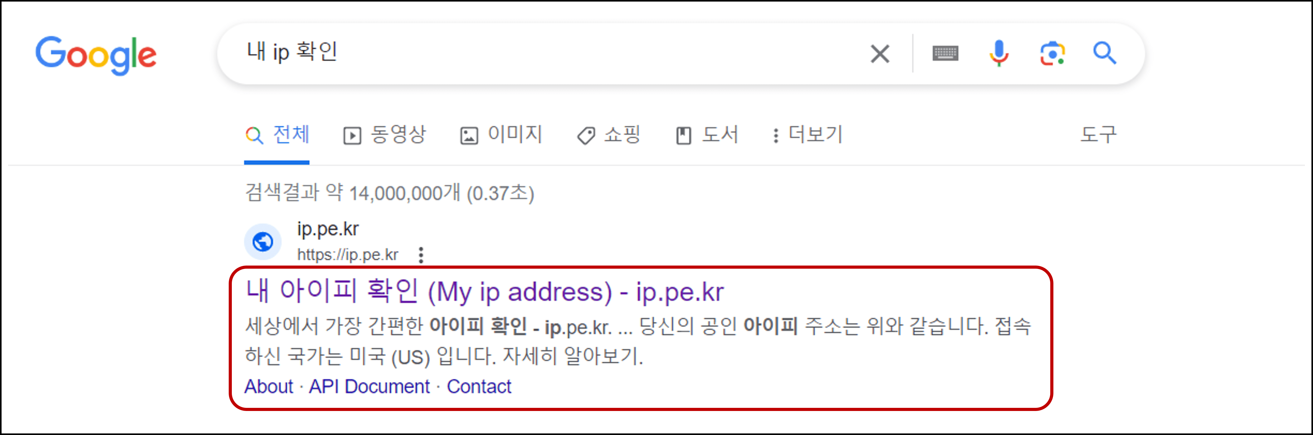 구글-내-IP-확인-검색