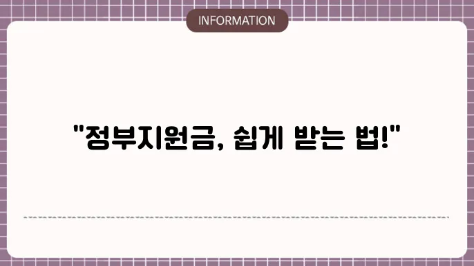정부 지원금의 다양성
