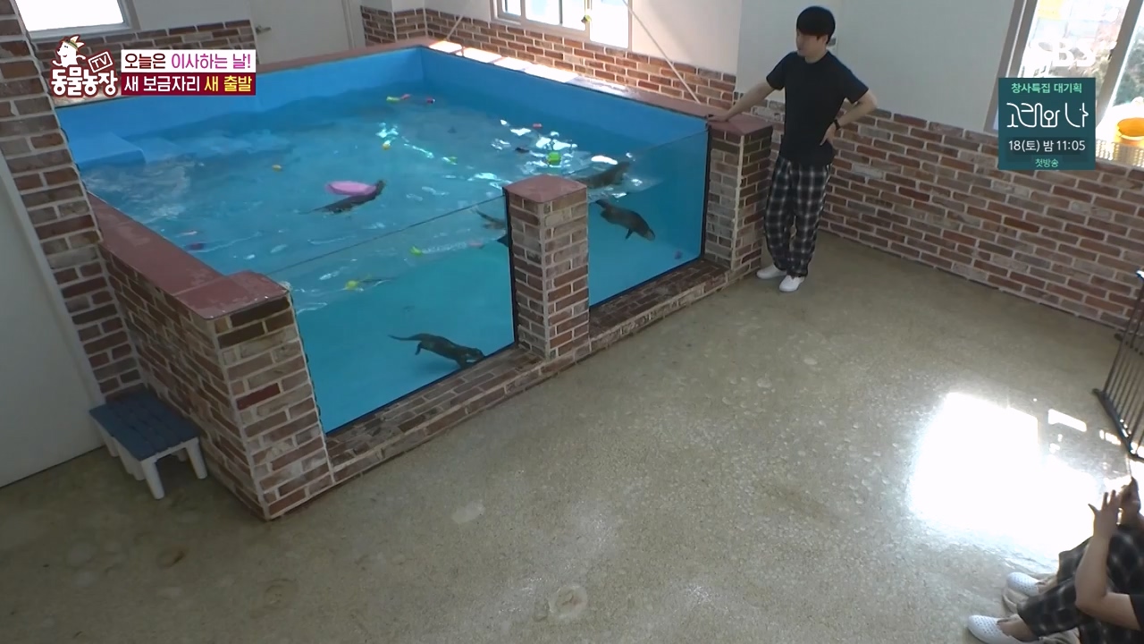 TV 동물농장.E1145.231113p-NEXT.mp4_20231112_173442.771.jpg