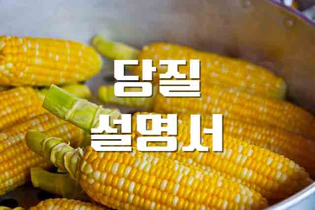  몸에 필요한 에너지원 당질 종류와 기능