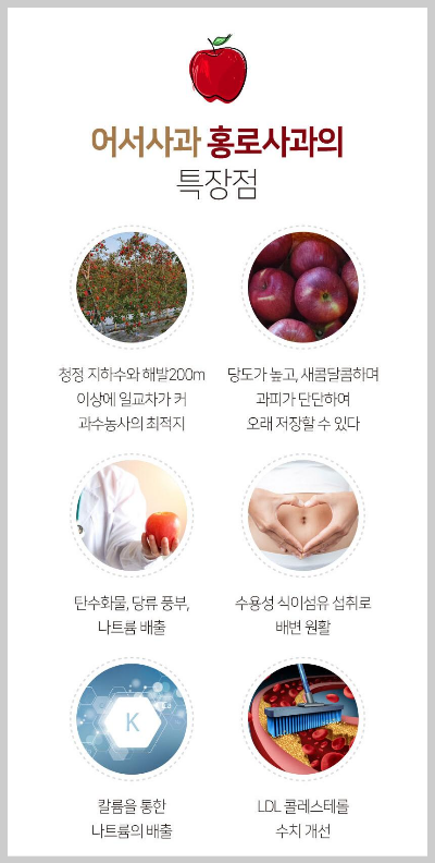 6시 내고향 철원 부사&amp;#44; 홍로사과 택배 주문 : 어서 사과 농장13