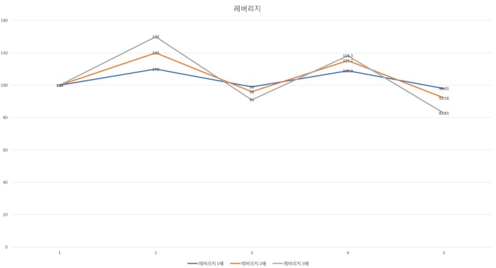 레버리지를 설명하는 사진