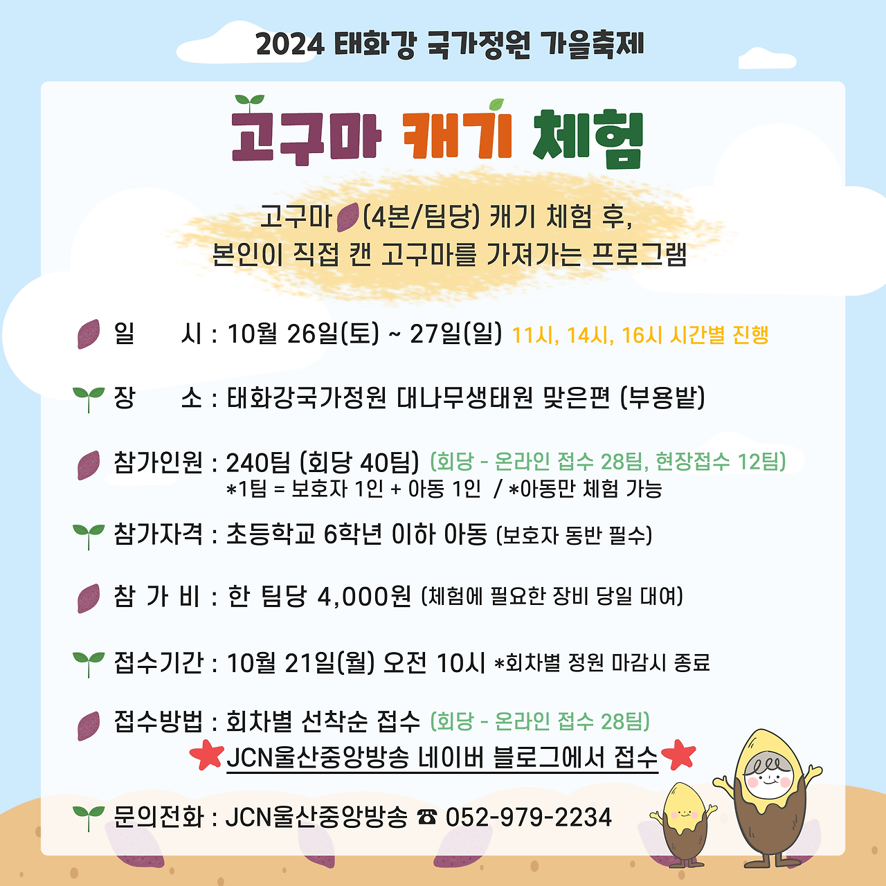 고구마 캐기 체험